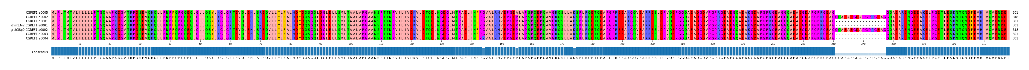 Multiple Alignments (by translate haplotype similarity)