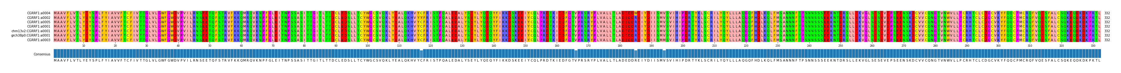 Multiple Alignments (by translate haplotype similarity)