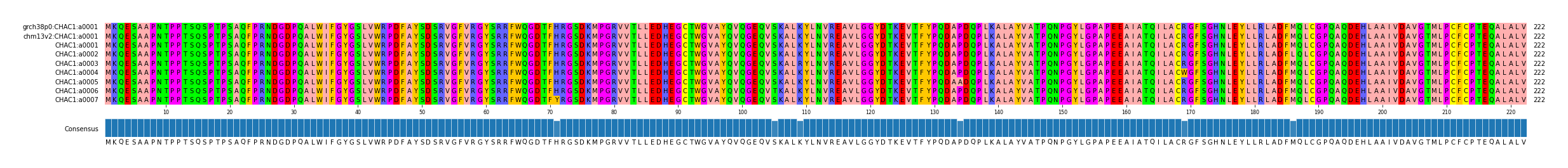 Multiple Alignments (by translate haplotype frequency)