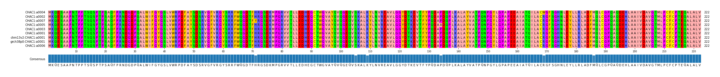 Multiple Alignments (by translate haplotype similarity)