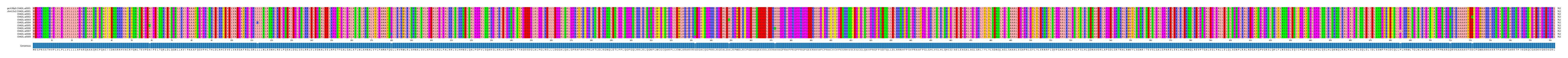 Multiple Alignments (by translate haplotype frequency)