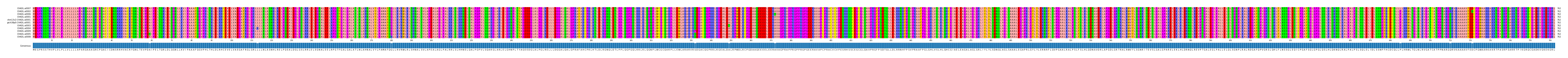 Multiple Alignments (by translate haplotype similarity)