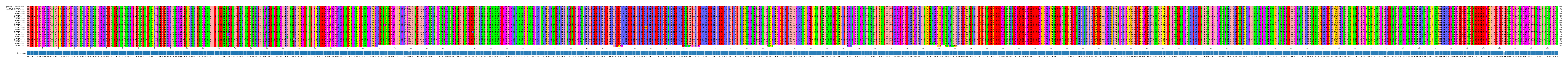 Multiple Alignments (by translate haplotype frequency)