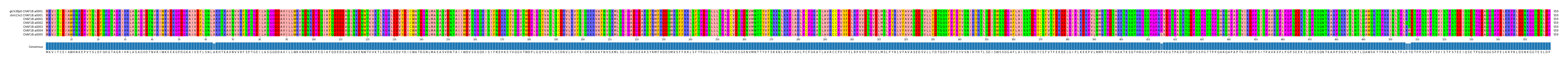 Multiple Alignments (by translate haplotype frequency)