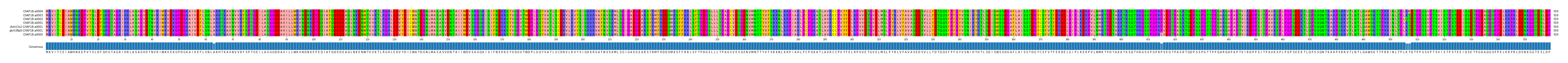 Multiple Alignments (by translate haplotype similarity)