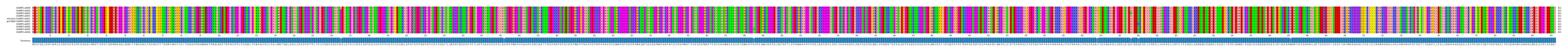 Multiple Alignments (by translate haplotype similarity)