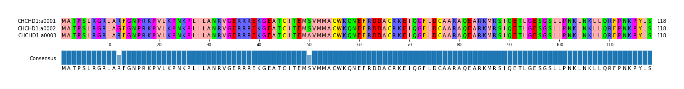 Multiple Alignments (by translate haplotype frequency)