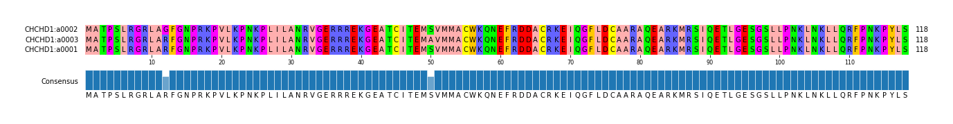 Multiple Alignments (by translate haplotype similarity)