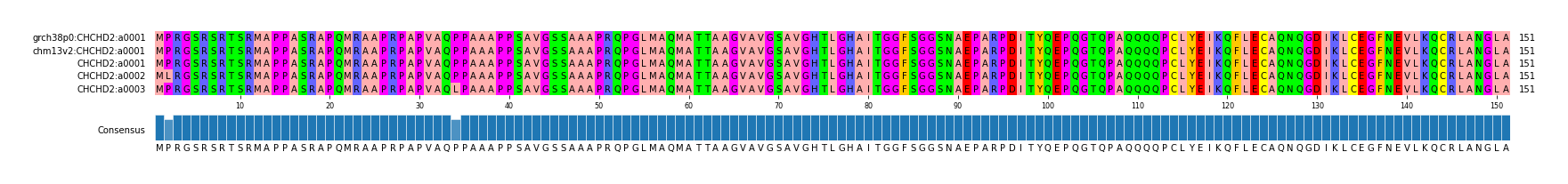 Multiple Alignments (by translate haplotype frequency)