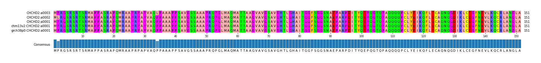 Multiple Alignments (by translate haplotype similarity)