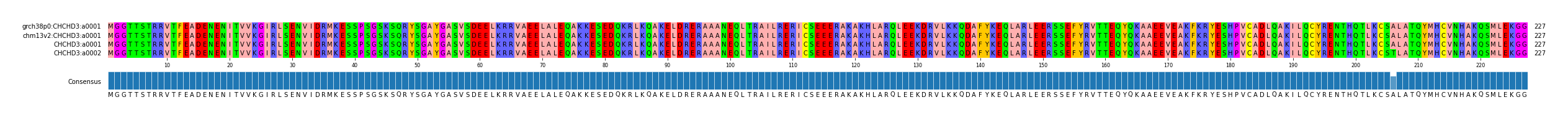 Multiple Alignments (by translate haplotype similarity)