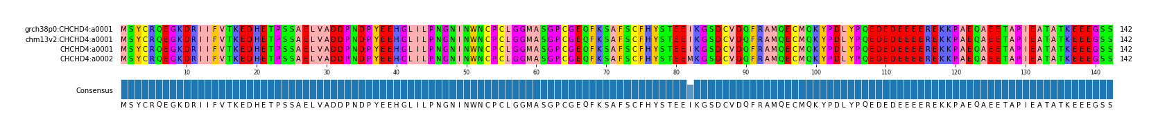 Multiple Alignments (by translate haplotype similarity)