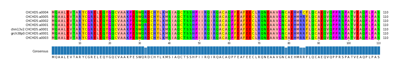 Multiple Alignments (by translate haplotype similarity)