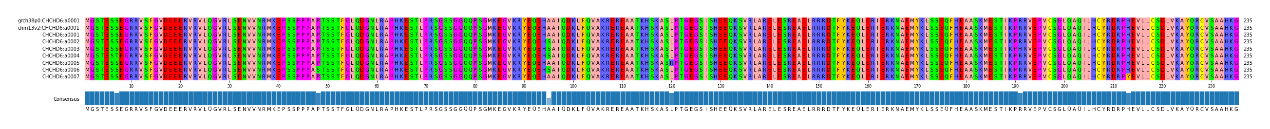Multiple Alignments (by translate haplotype frequency)