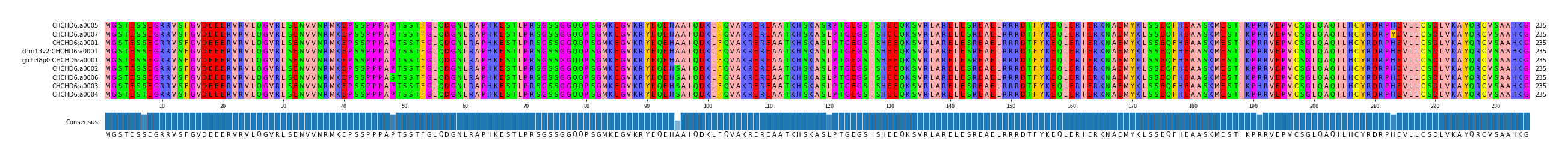 Multiple Alignments (by translate haplotype similarity)