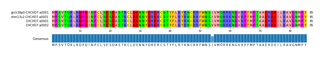 Multiple Alignments (by translate haplotype frequency)