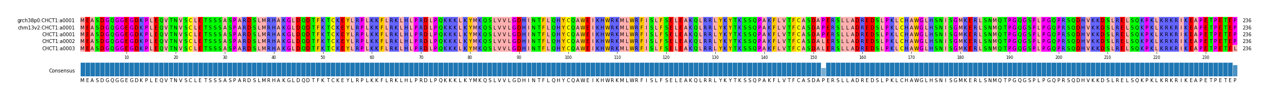 Multiple Alignments (by translate haplotype frequency)