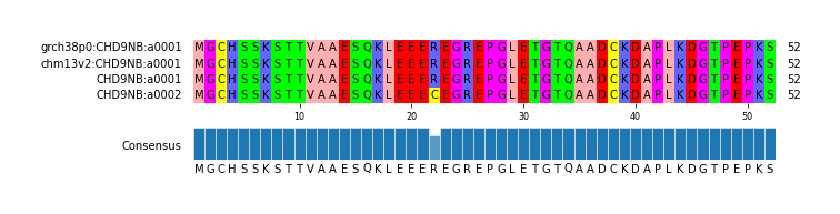 Multiple Alignments (by translate haplotype similarity)