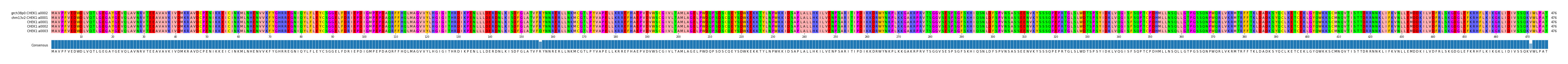 Multiple Alignments (by translate haplotype frequency)