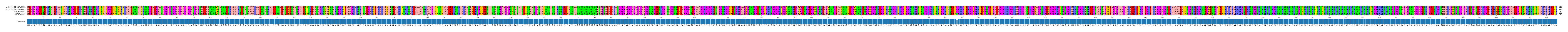 Multiple Alignments (by translate haplotype frequency)