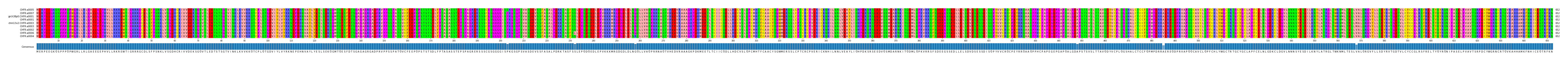 Multiple Alignments (by translate haplotype similarity)