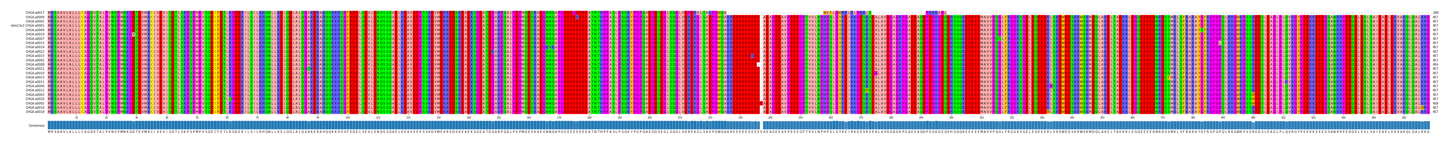 Multiple Alignments (by translate haplotype similarity)