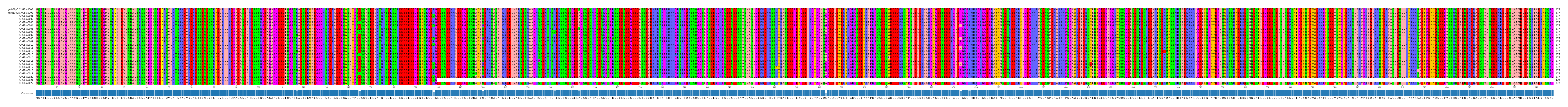 Multiple Alignments (by translate haplotype frequency)