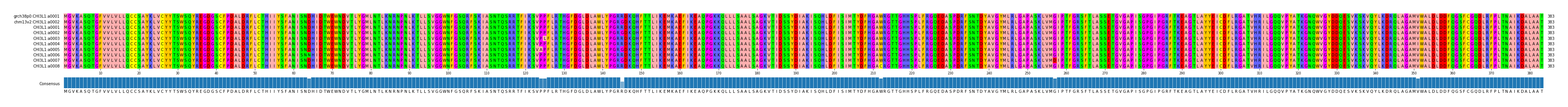 Multiple Alignments (by translate haplotype frequency)