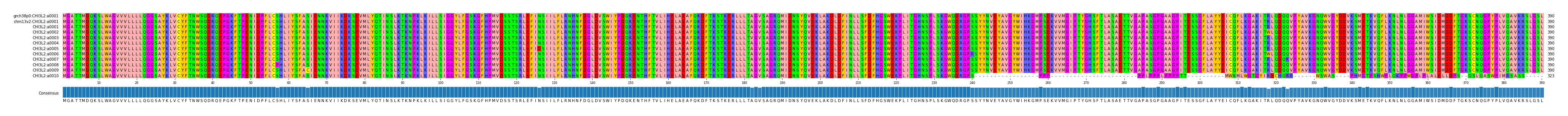 Multiple Alignments (by translate haplotype frequency)