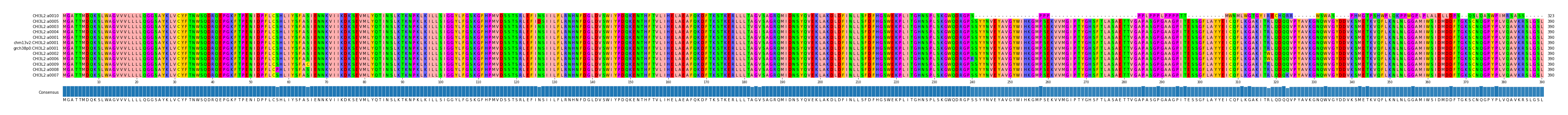 Multiple Alignments (by translate haplotype similarity)