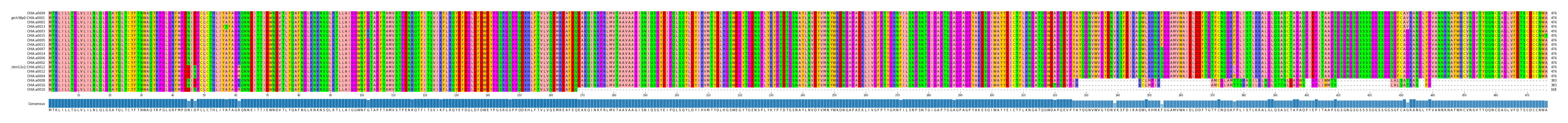 Multiple Alignments (by translate haplotype similarity)