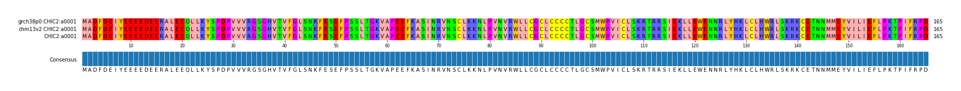 Multiple Alignments (by translate haplotype frequency)