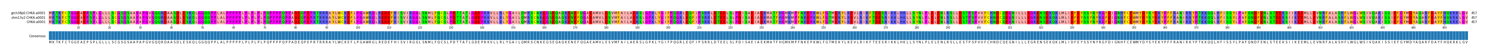 Multiple Alignments (by translate haplotype similarity)