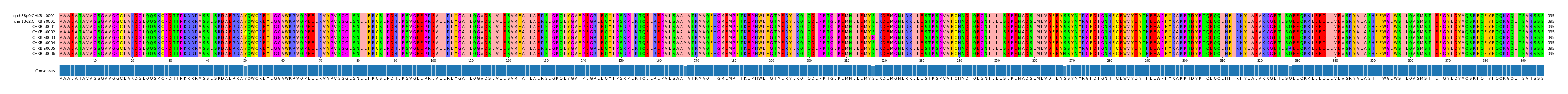 Multiple Alignments (by translate haplotype frequency)