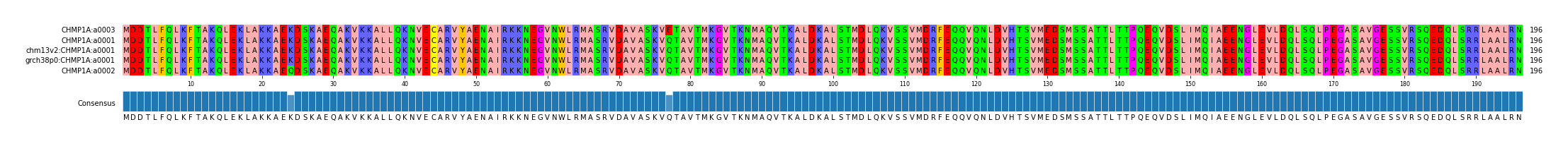 Multiple Alignments (by translate haplotype similarity)