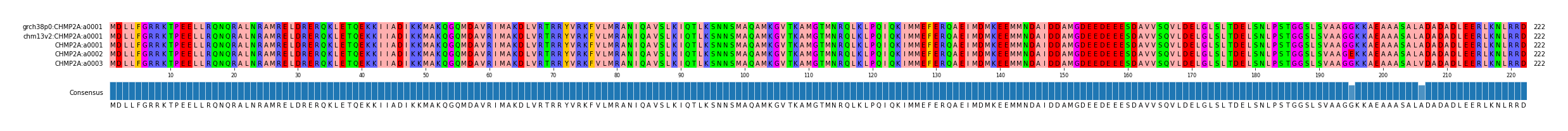 Multiple Alignments (by translate haplotype frequency)