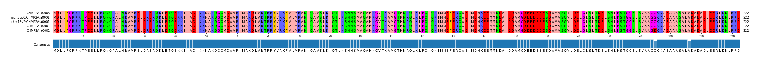 Multiple Alignments (by translate haplotype similarity)