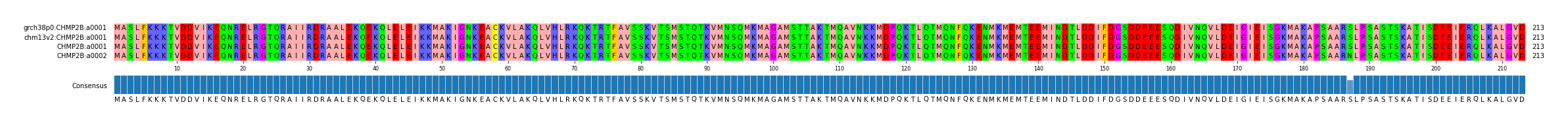 Multiple Alignments (by translate haplotype similarity)
