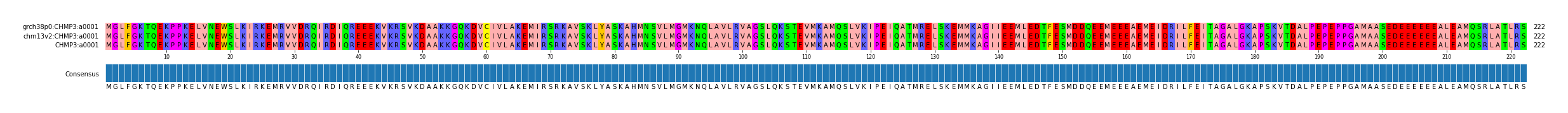 Multiple Alignments (by translate haplotype similarity)