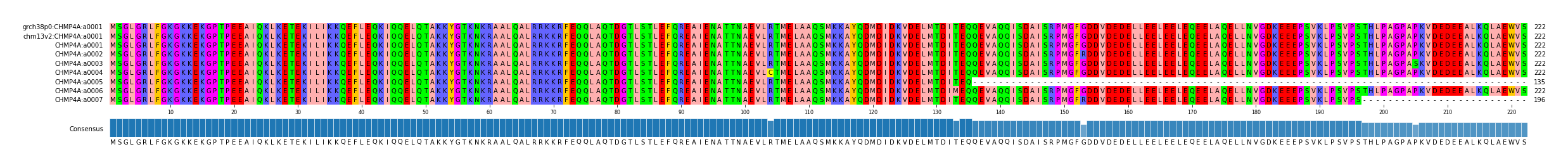 Multiple Alignments (by translate haplotype frequency)