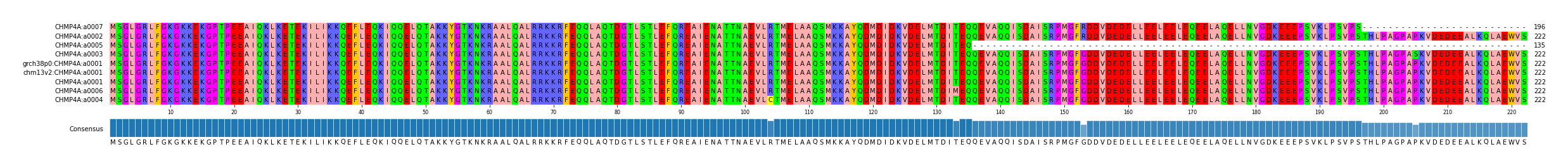 Multiple Alignments (by translate haplotype similarity)