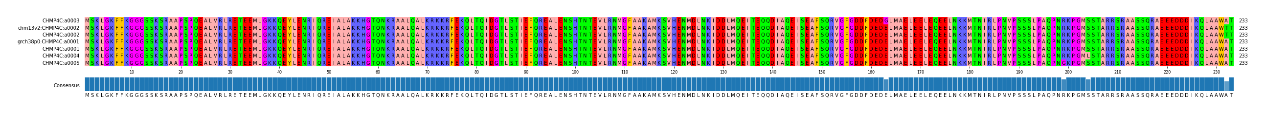 Multiple Alignments (by translate haplotype similarity)