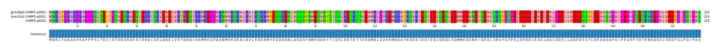 Multiple Alignments (by translate haplotype similarity)