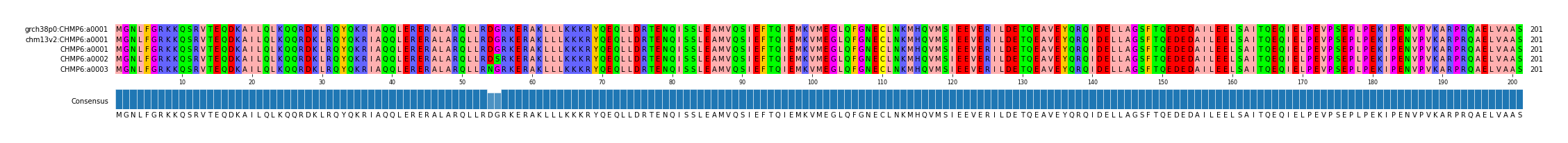 Multiple Alignments (by translate haplotype frequency)