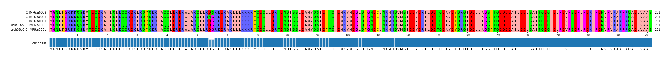 Multiple Alignments (by translate haplotype similarity)