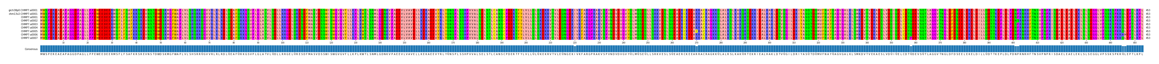 Multiple Alignments (by translate haplotype frequency)