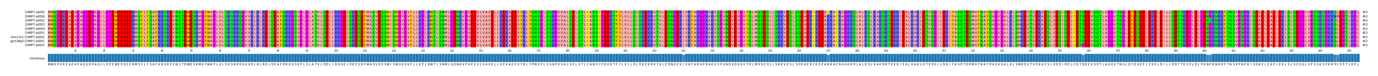 Multiple Alignments (by translate haplotype similarity)