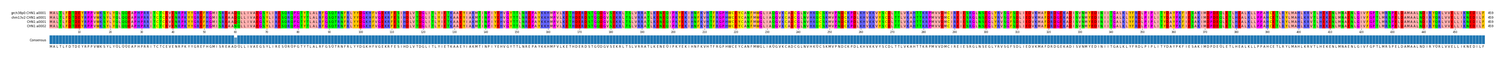 Multiple Alignments (by translate haplotype similarity)