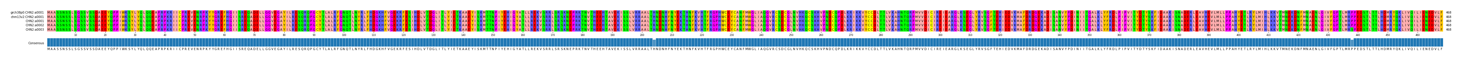 Multiple Alignments (by translate haplotype frequency)