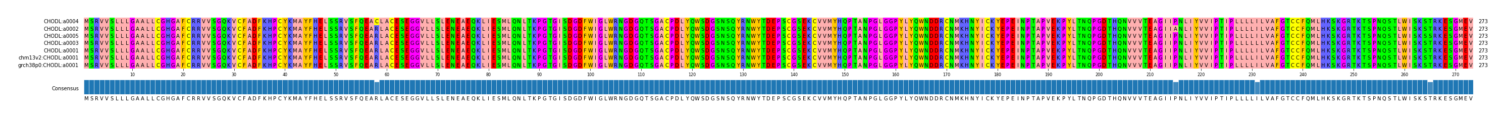Multiple Alignments (by translate haplotype similarity)